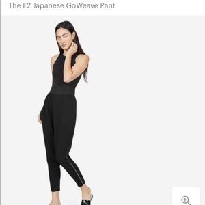 Everlane E2 Japanese GoWeave Jogger Pants, size 4